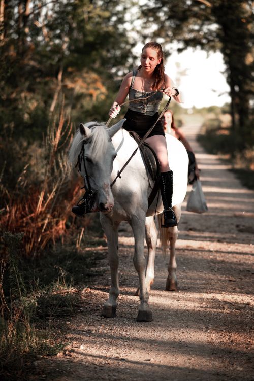 Free A confident woman riding a horse along a sunlit trail through nature. Stock Photo