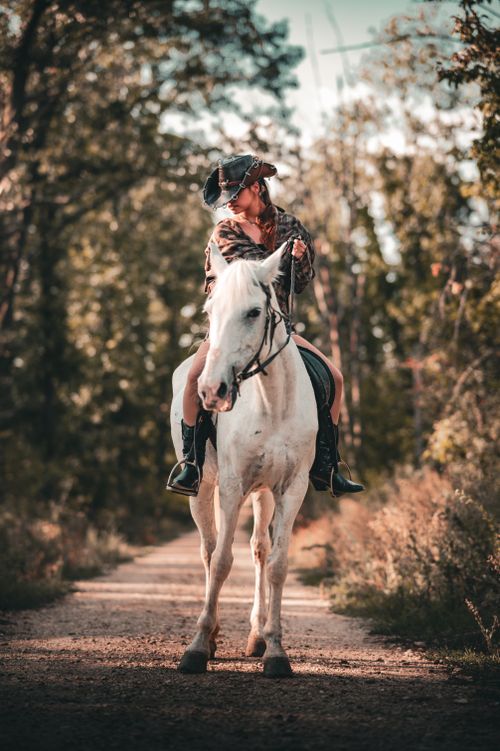 Free Woman in cowboy hat riding a white horse on a sunlit forest path, exuding an adventurous vibe. Stock Photo