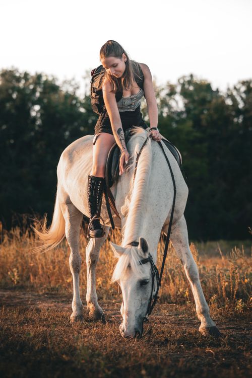 Free Woman riding a white horse in a sunlit field. Outdoors, summer setting. Stock Photo