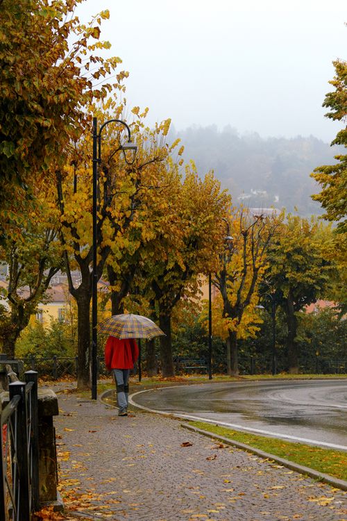 Free Person walking on a scenic path under umbrella in fall. Stock Photo