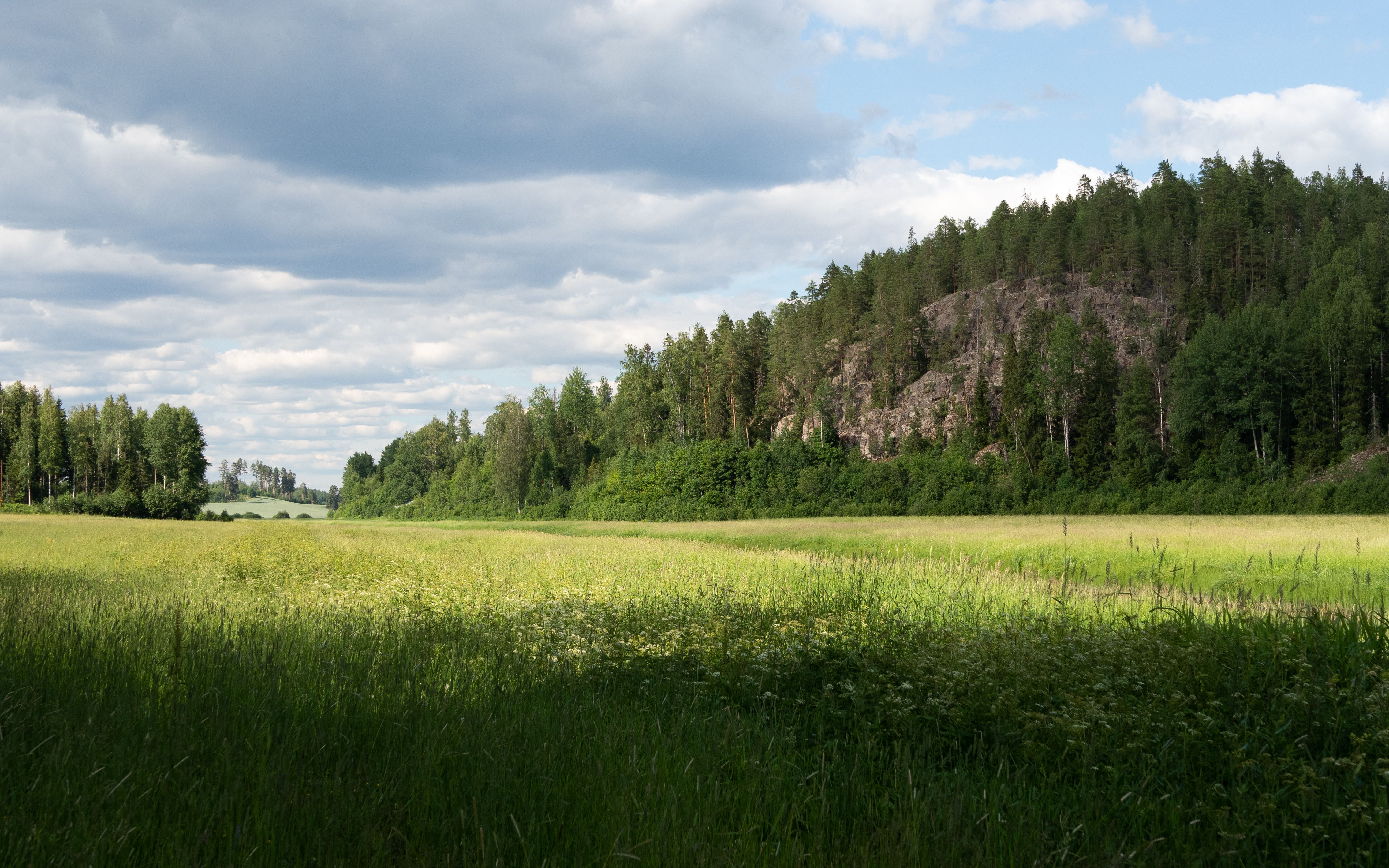 Serene view of a green meadow bordered by a forest under a cloudy sky in Finland.