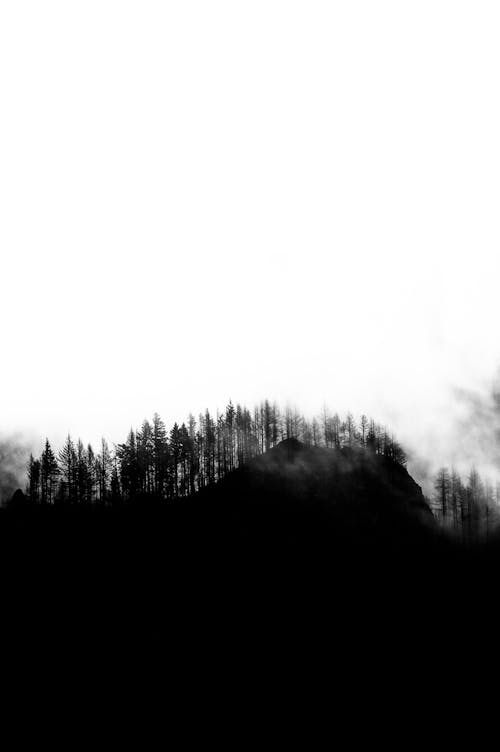 Black and white of light fog above mountain forest growing on small hill out of city