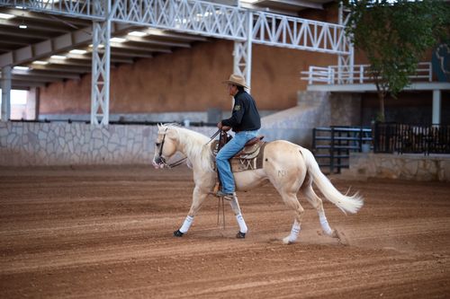 Free A cowboy riding a palomino horse in an indoor arena, showcasing equestrian skills. Stock Photo