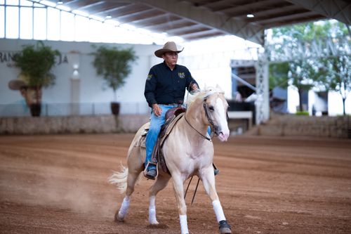 Free Cowboy in hat riding a palomino horse in an indoor arena, capturing equestrian style. Stock Photo