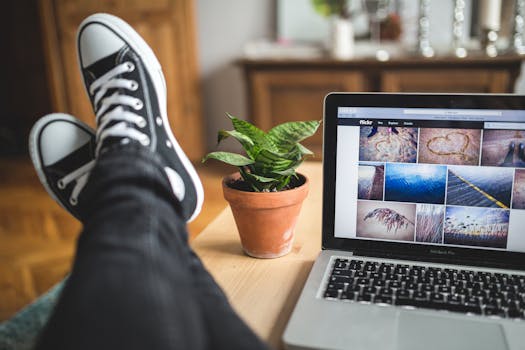 Casual workspace featuring sneakers, a laptop displaying images, and a potted plant, ideal for remote work inspiration.