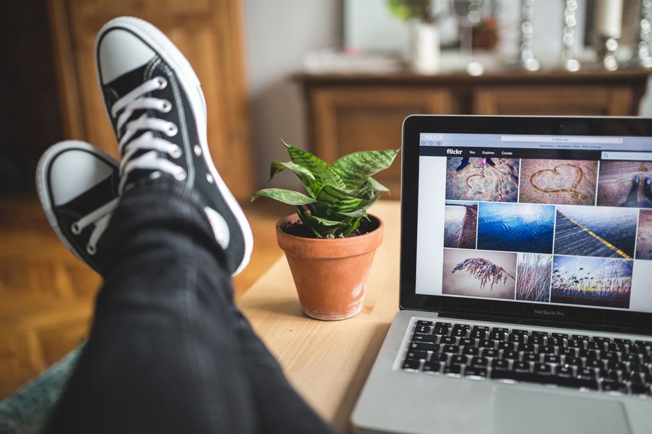 Casual workspace featuring sneakers, a laptop displaying images, and a potted plant, ideal for remote work inspiration.