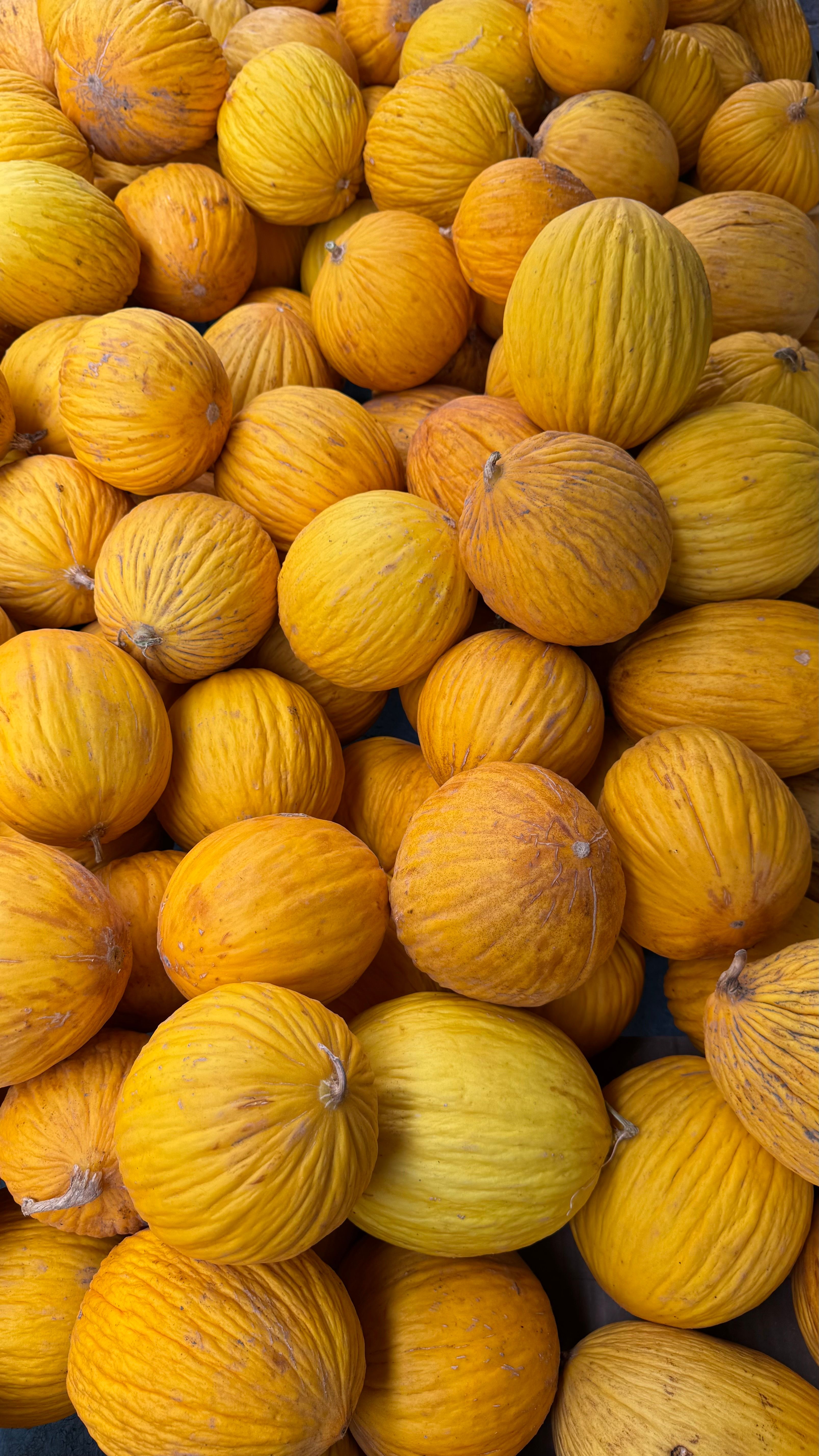 Fotomural Una llamativa exhibición de melones amarillos apilados en un mercado local, que muestra frescura y abundancia.