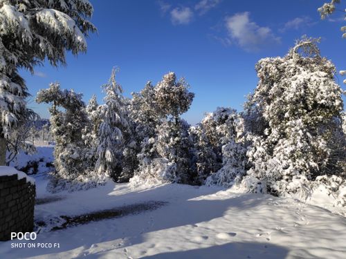 Free stock photo of heavy snow Stock Photo