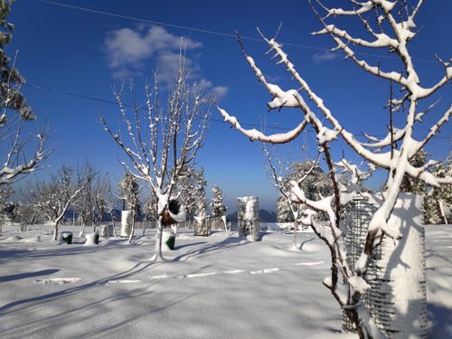 Free stock photo of beautiful snow in hill, heave snow, mountain Stock Photo
