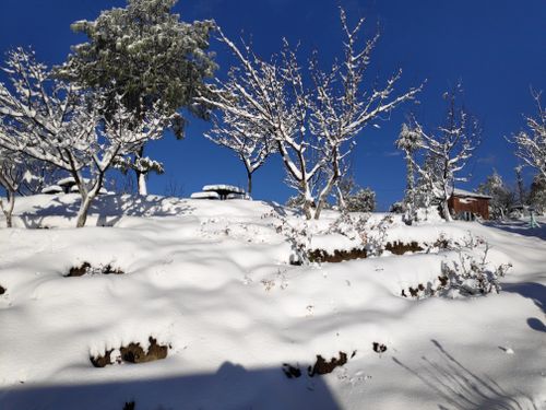 Free stock photo of beautiful snow in hill, heave snow, mountain Stock Photo