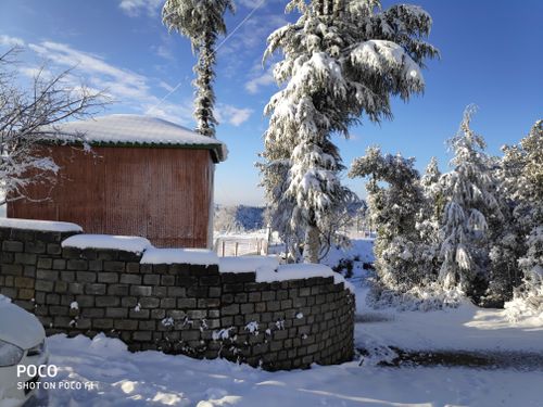 Free stock photo of shimla, snow fall in shimla Stock Photo