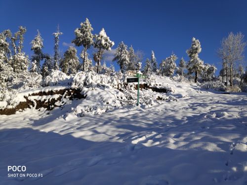 Free stock photo of shimla, snow in shimla, snowfall Stock Photo