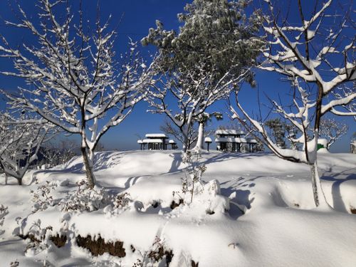 Free stock photo of beautiful snow in hill, heave snow, mountain Stock Photo