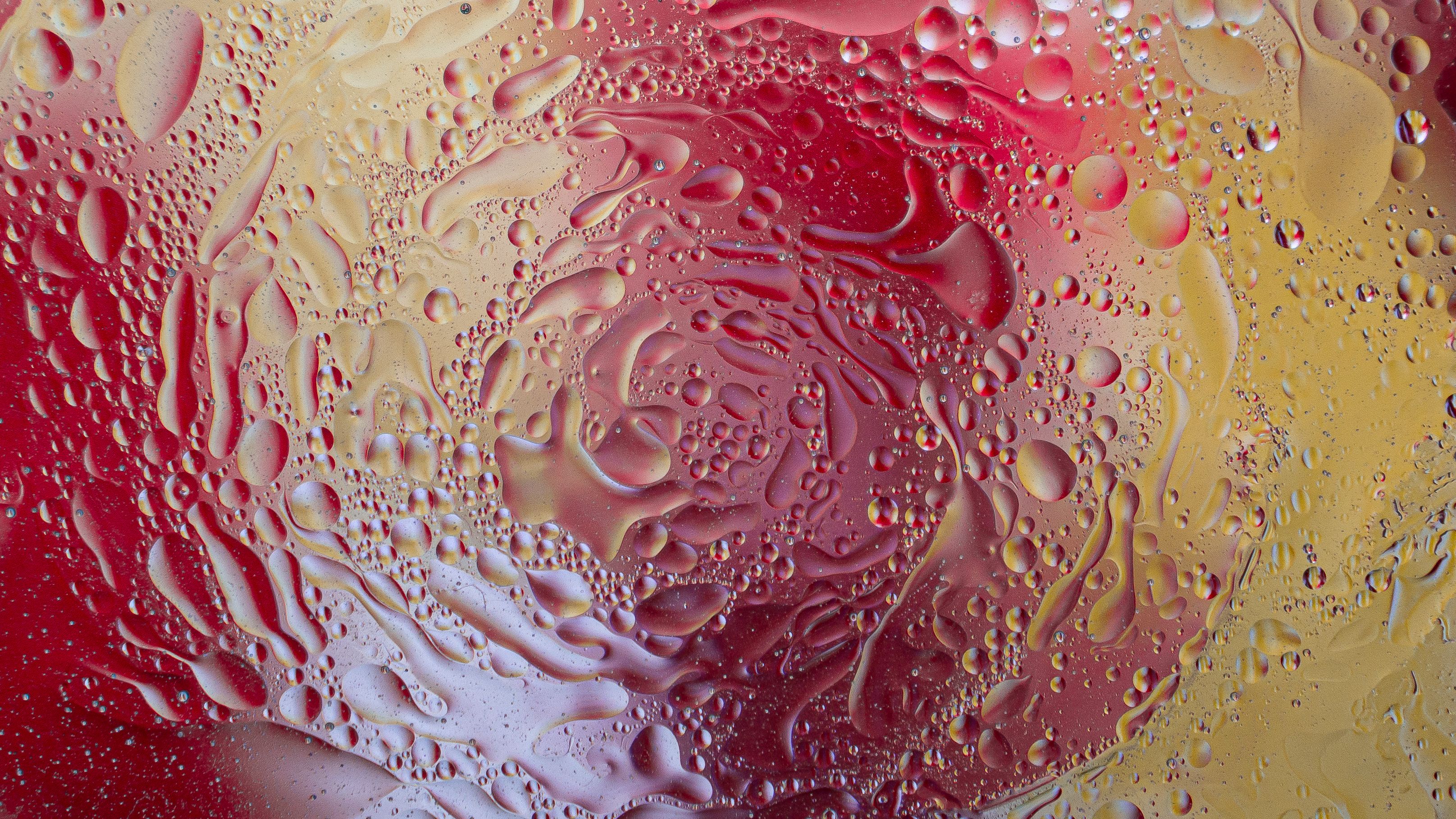 Abstract Water Droplets on Vibrant Background · Free Stock Photo