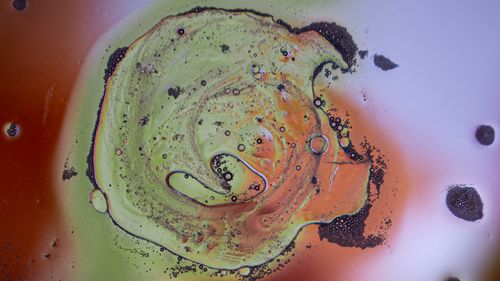 Free Dynamic macro shot of colorful liquid with bubbles and swirls, creating an abstract pattern. Stock Photo