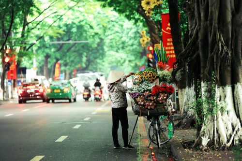 Free Street vendor with bicycle selling colorful flowers on a vibrant city avenue. Stock Photo
