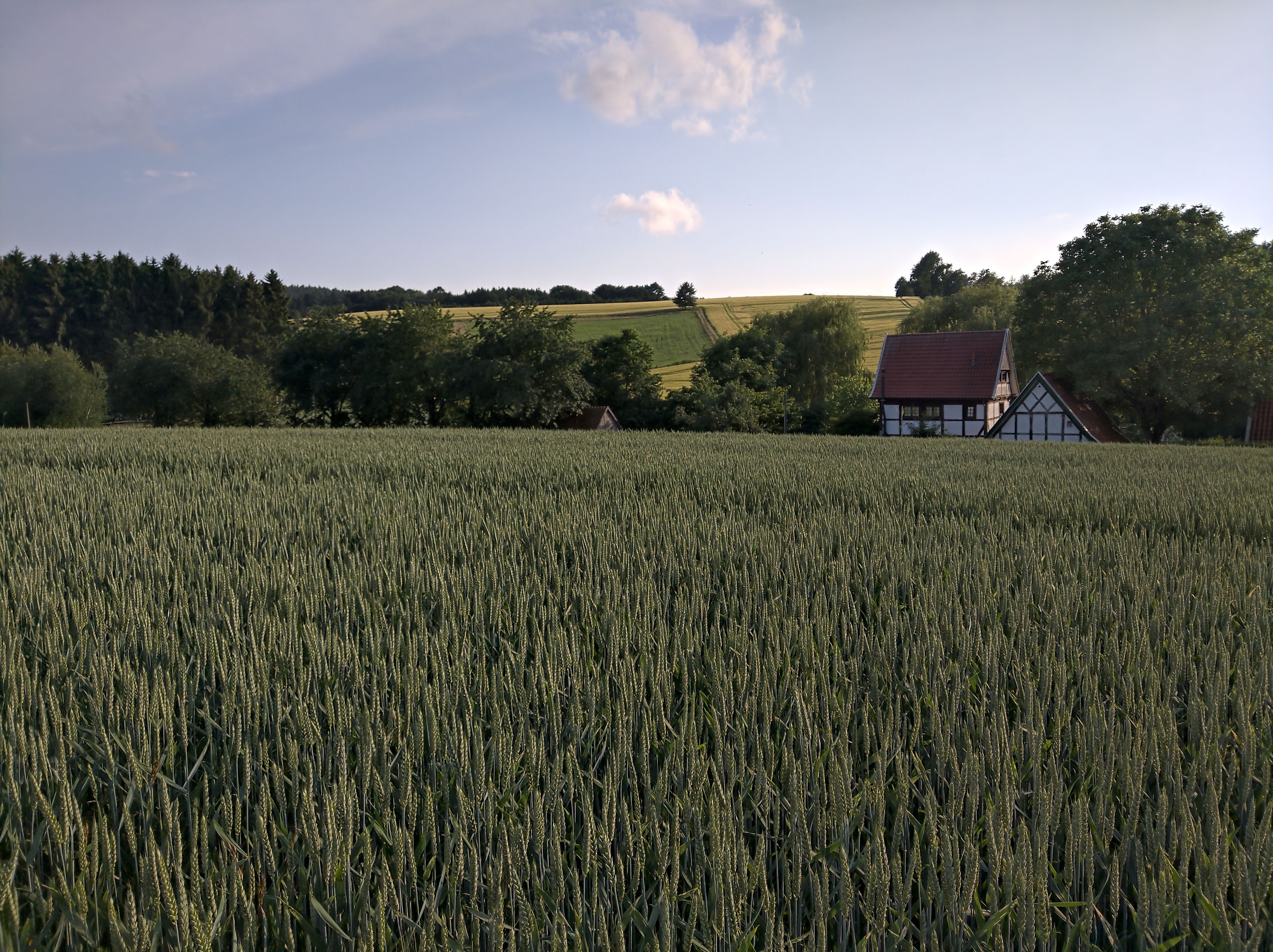 Farming Simulator 23 Switch : Prix et test 2026