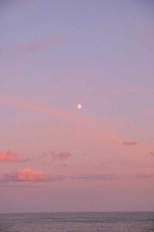 Free Moon on Pink Skies Stock Photo