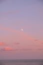 海洋上宁静的日落，粉红色的天空和可见的月亮，捕捉到宁静的夏夜