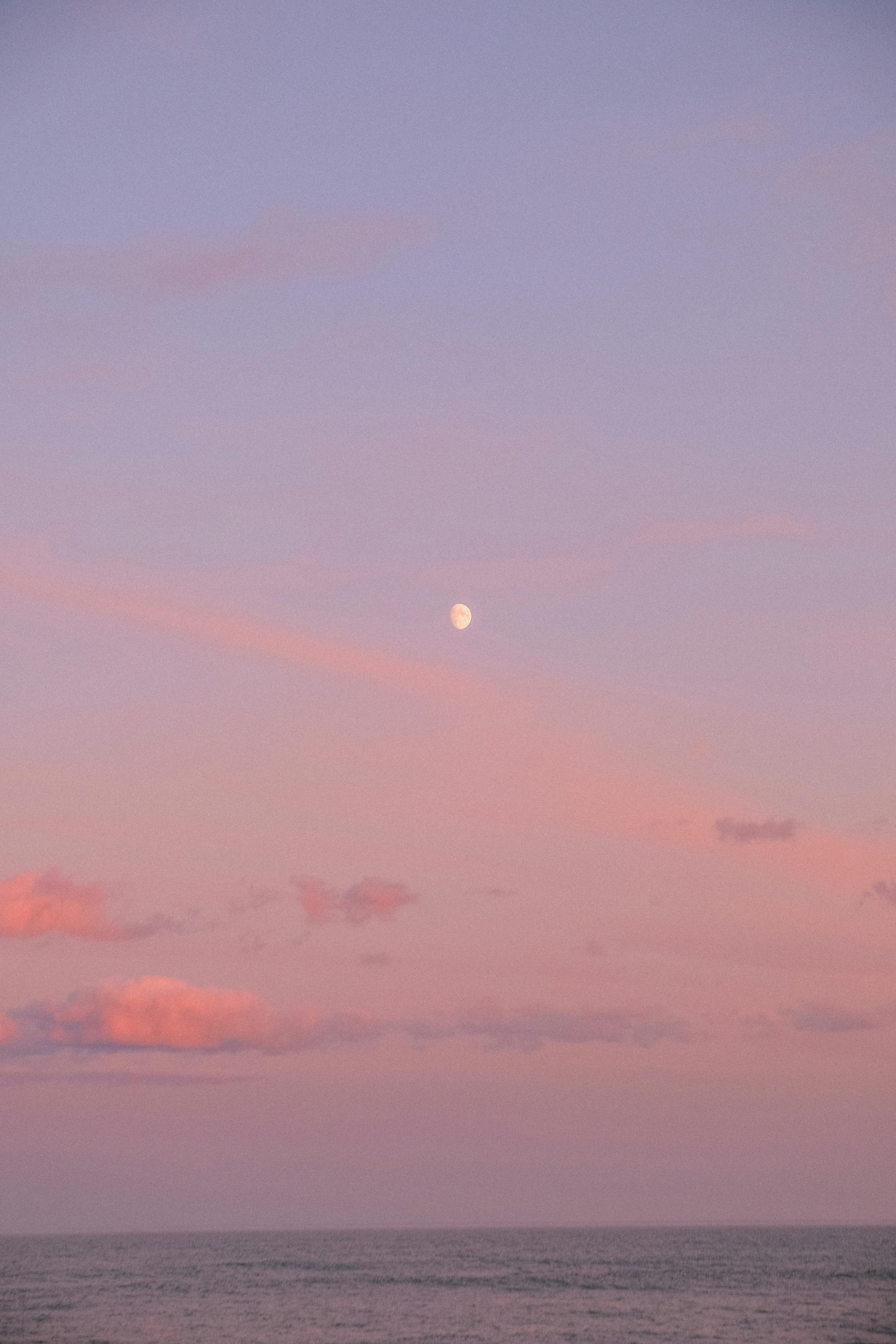 Moon on Pink Skies