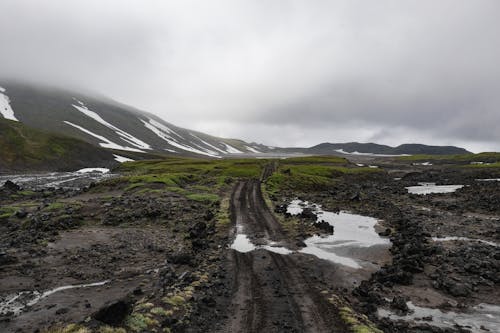 Tire Tracks on Dirt Road