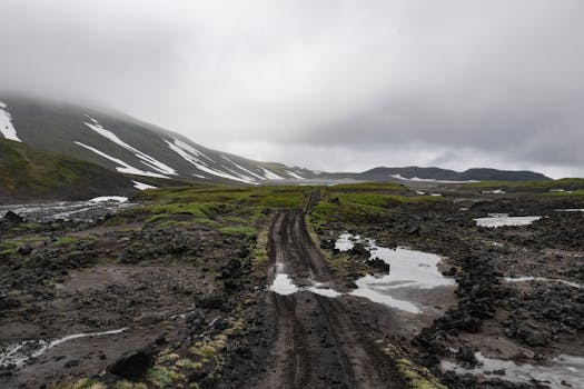Explore the rugged beauty of Kamchatka Krai with a foggy mountain path winding through lush terrain.