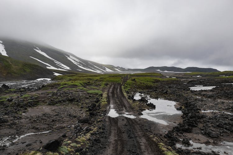 Tire Tracks On Dirt Road