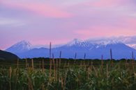 俄罗斯堪察加半岛的火山在白雪皑皑中呈现出迷人的日落景色