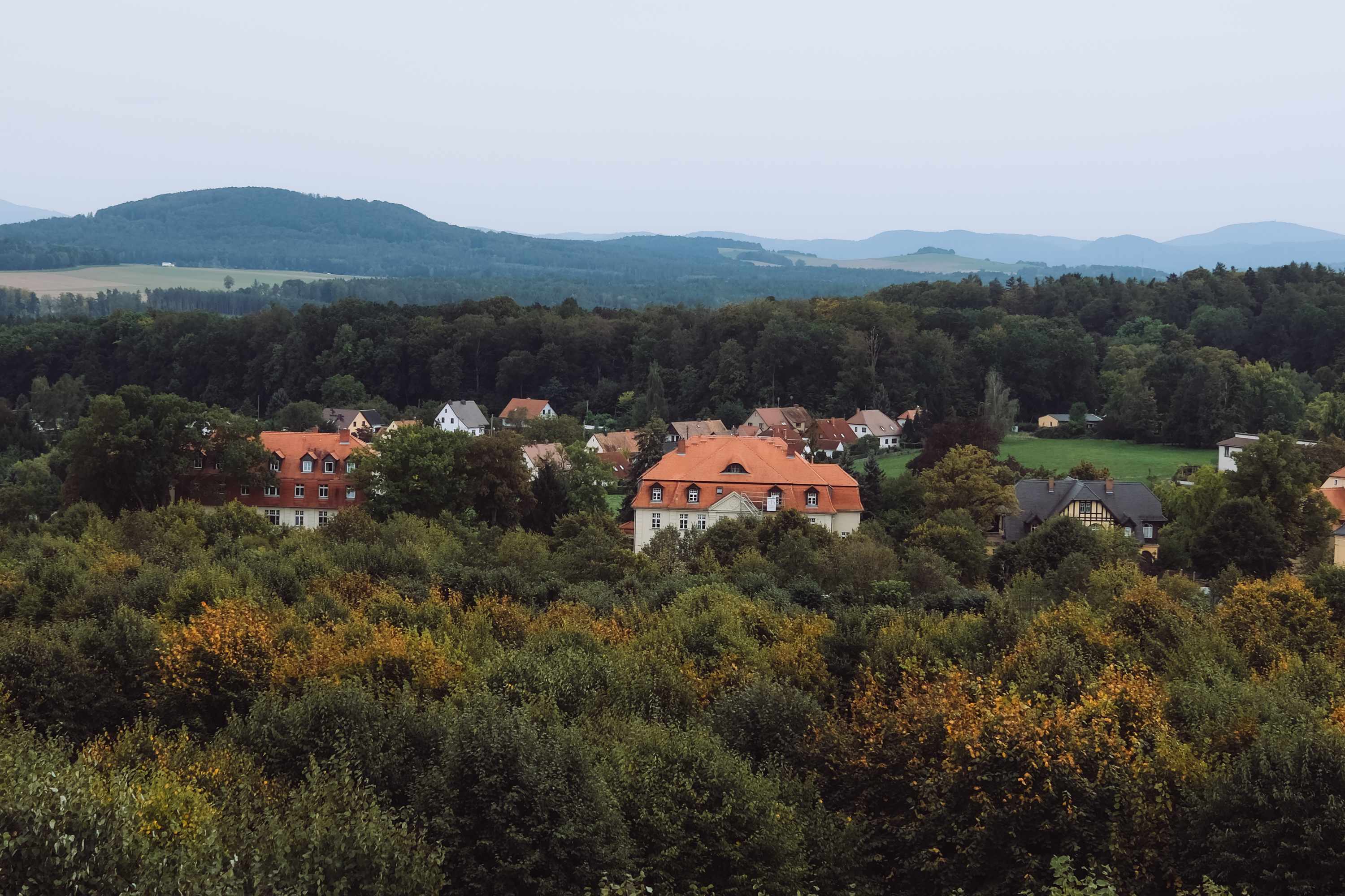 Charming landscape of Herrnhut, Germany, showcasing lush forests and quaint village architecture.