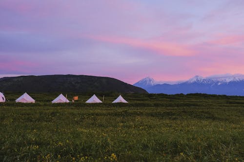 Pink Sky over Tents on Grass Field 