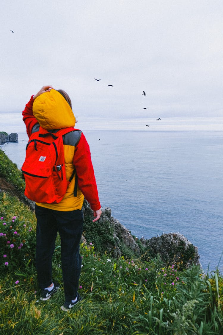 Person Standing On A Cliff