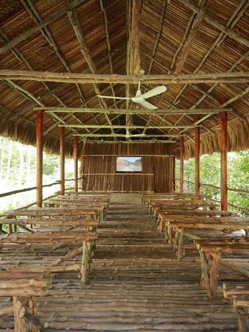 Free Explore a charming wooden pavilion with a thatched roof surrounded by lush greenery in Ho Chi Minh City. Stock Photo