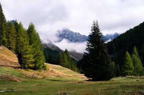 Free Tranquil mountain scene showcasing lush evergreens and misty peaks under a cloudy sky. Stock Photo