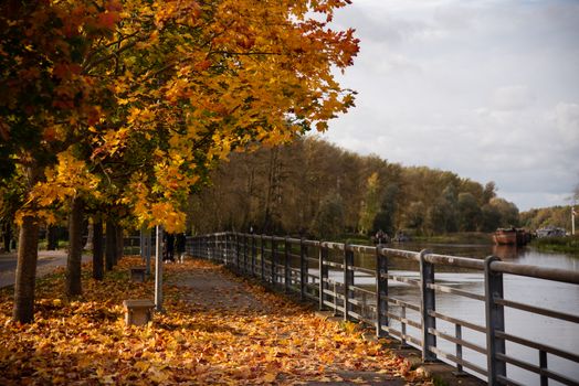 A serene autumn scene in Tartu, Estonia, with a walkway covered in vibrant fall leaves by the river.