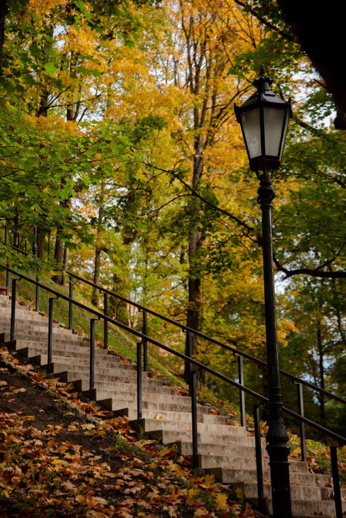 Free Stone stairway in Tartu park with autumn foliage and vintage streetlamp. Stock Photo