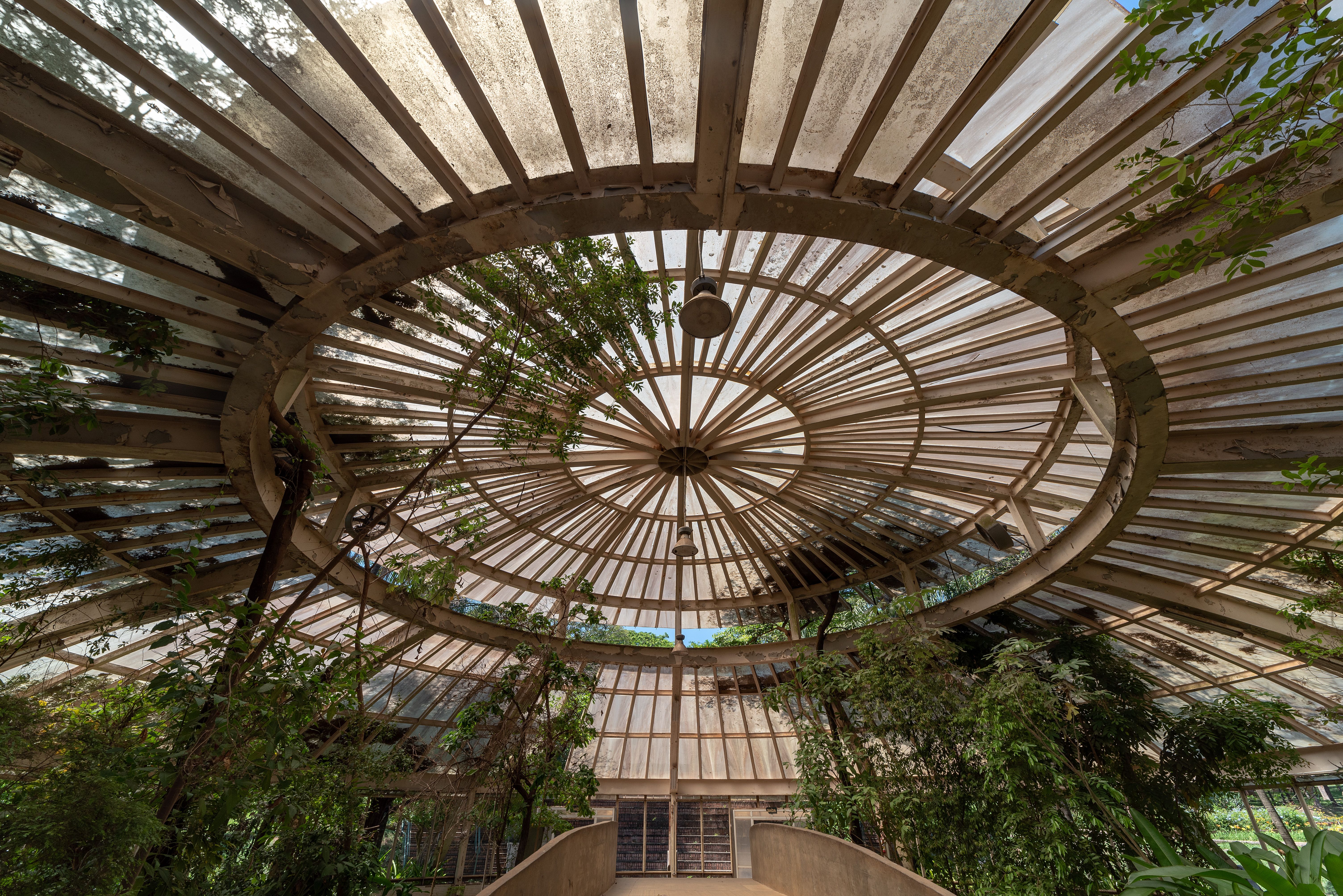 Lincoln Park Zoo & Conservatory