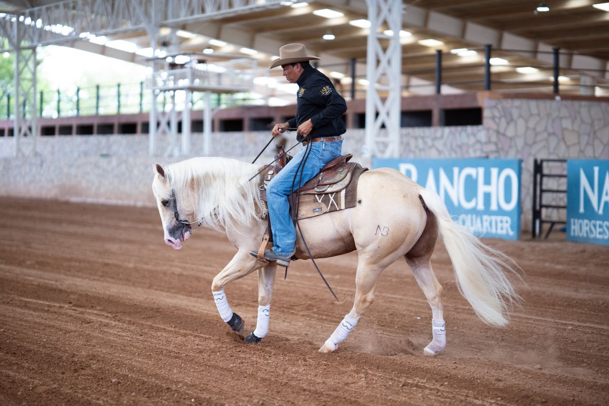 OQHA Sweetheart Classic