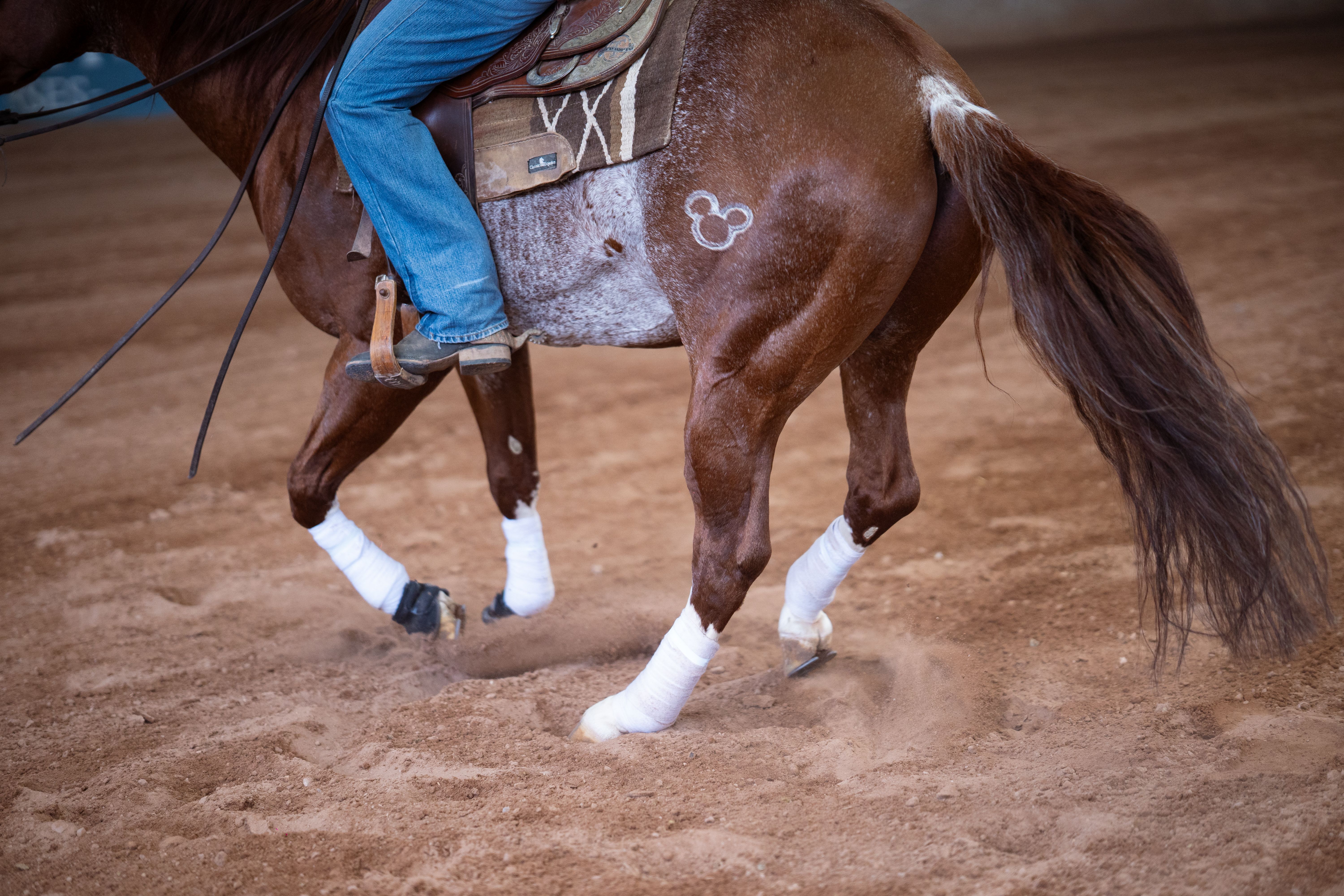 Horse and rider performing a dressage routine in an indoor arena, showcasing equestrian skills.