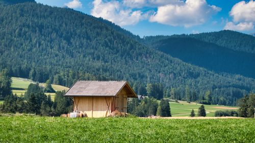 Free A scenic view of a wooden cabin amidst lush green fields and mountain backdrop in Toblach, Italy. Stock Photo