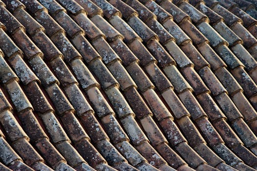A detailed view of aged roof tiles showcasing a rustic pattern and texture.