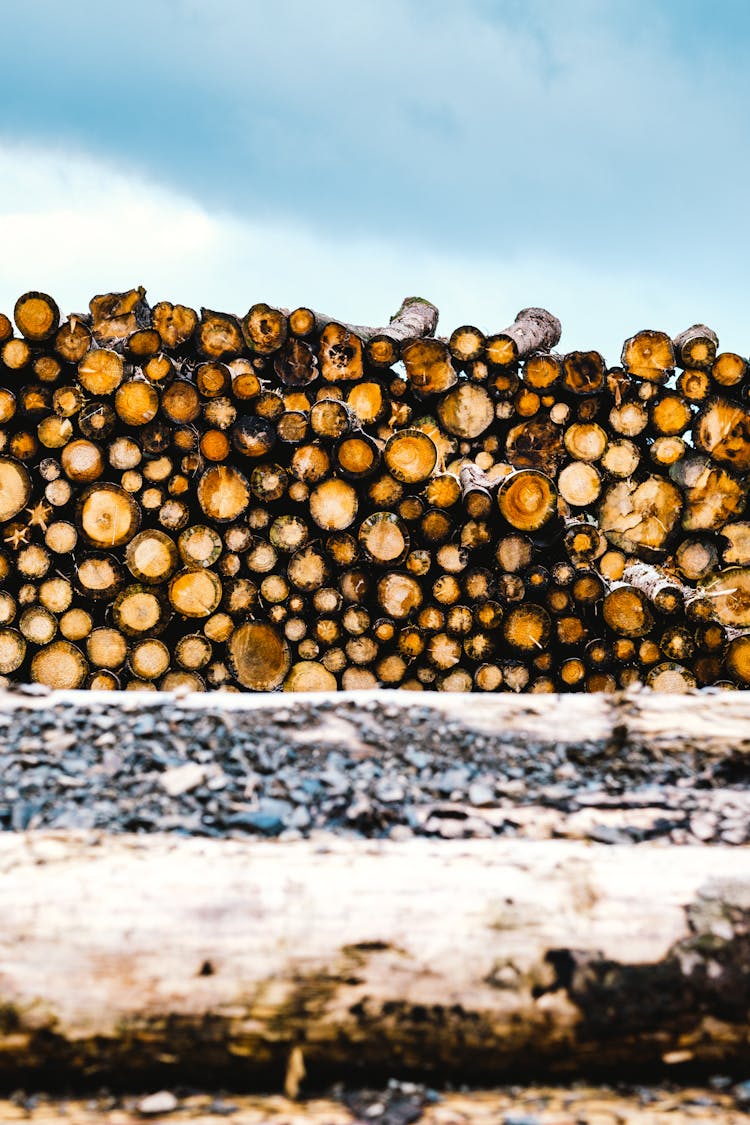 Stacked Of Logs