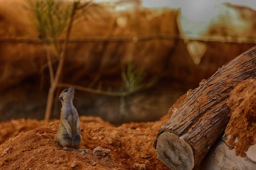 Photo by Mohammed  Suhail