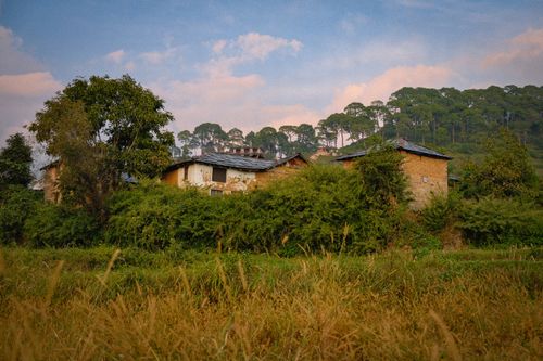 Free Charming rural scene of traditional houses in Dharamshala, India surrounded by lush greenery at sunset. Stock Photo
