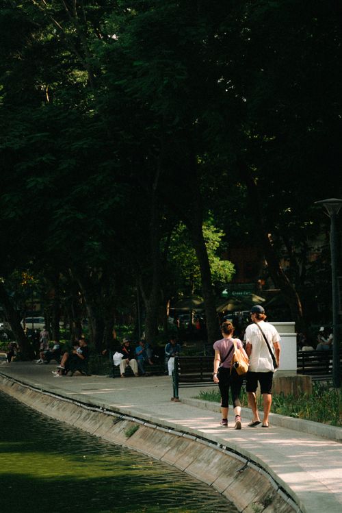 Free A couple walks along a tree-lined path in a serene city park during the day. Stock Photo