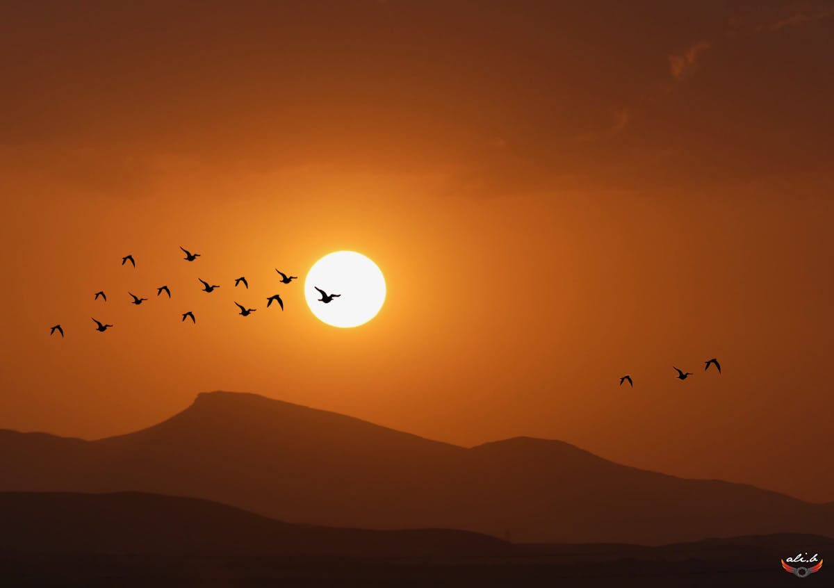 Illustrated boxes of tea ready for export on pallets