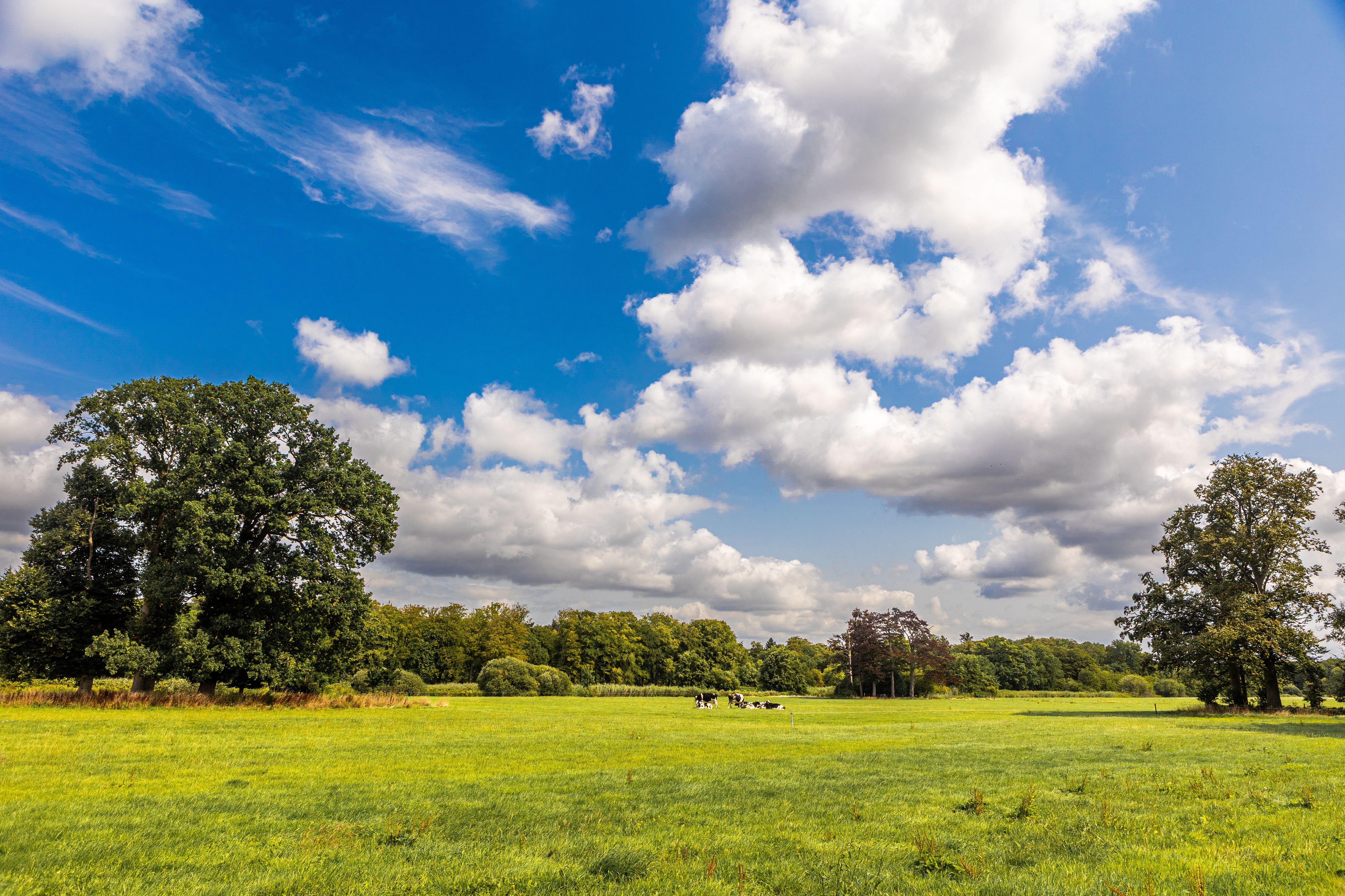 Overijssel