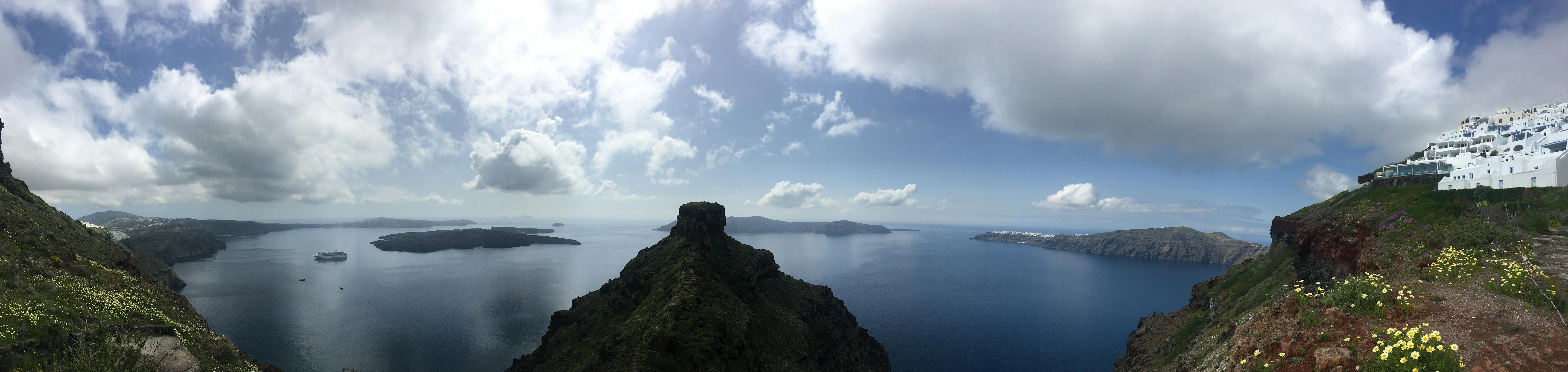 What Do Fleas Look Like? A PA Guide