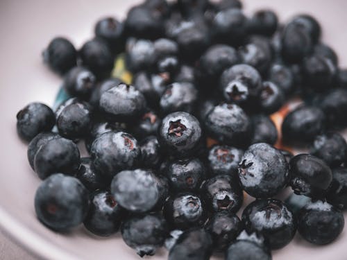 Blueberries on White Ceramic Plate