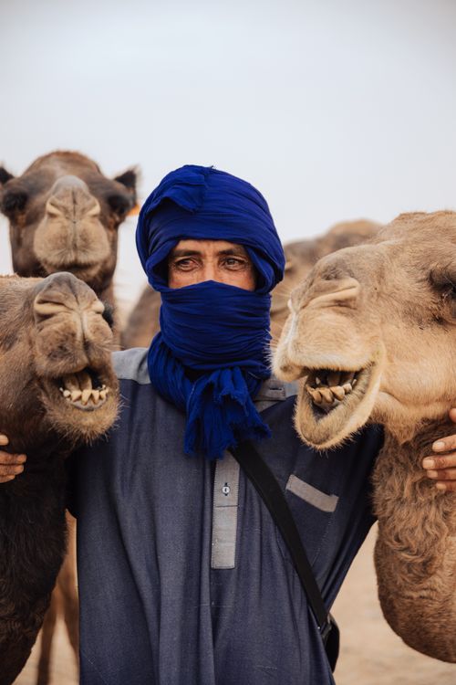 Free Portrait of a man with camels in the desert of Morocco, showcasing local culture. Stock Photo