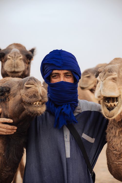 Free A man in traditional attire poses with camels in the Moroccan desert setting. Stock Photo